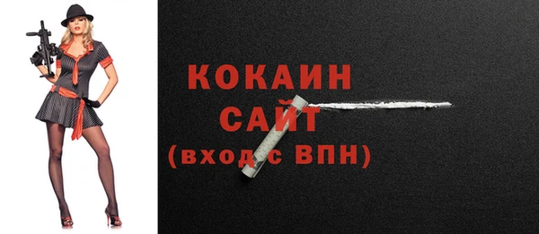 молекула духа Богородицк