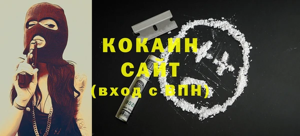 молекула духа Богородицк