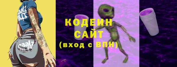 молекула духа Богородицк