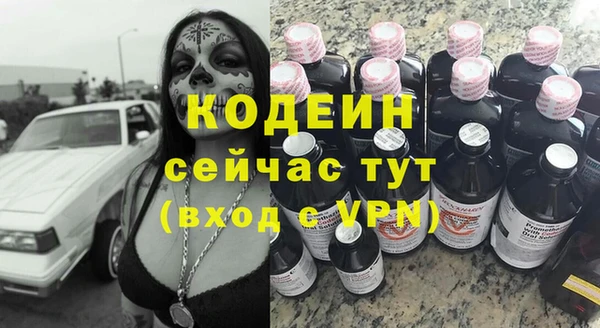 молекула духа Богородицк