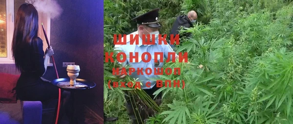 молекула духа Богородицк