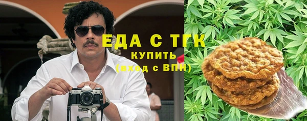 молекула духа Богородицк
