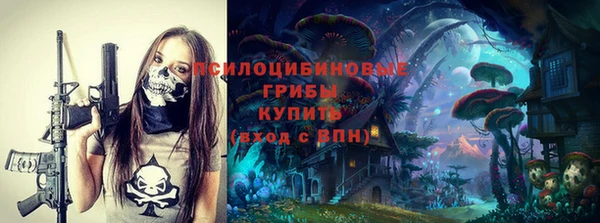 молекула духа Богородицк