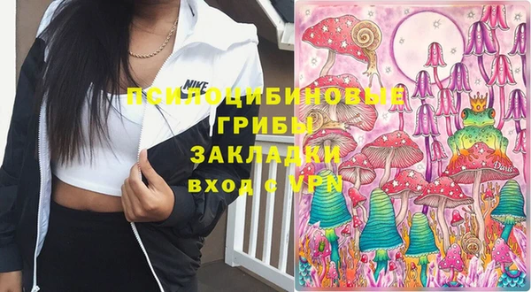 PSILOCYBIN Богданович