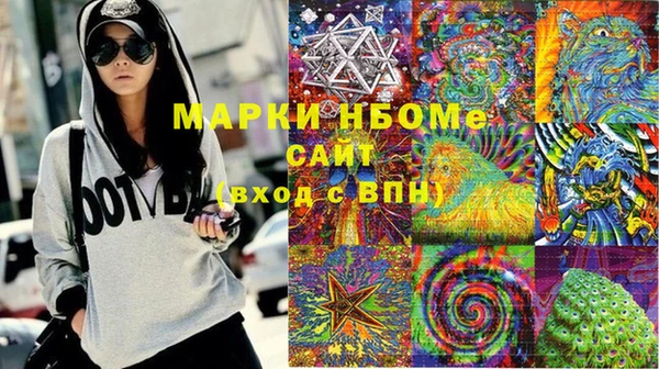 молекула духа Богородицк