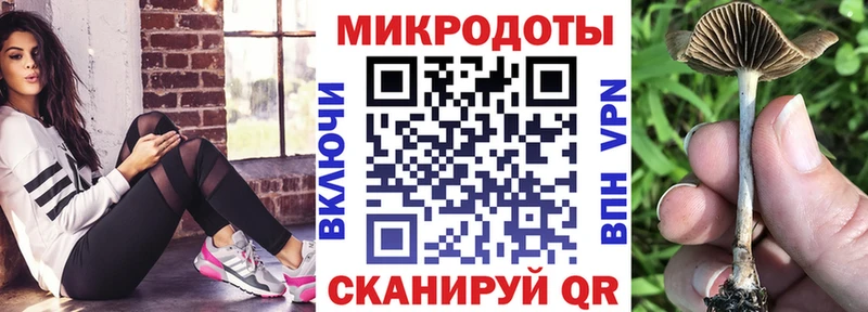 Галлюциногенные грибы мицелий  Купить закладки  Томари 