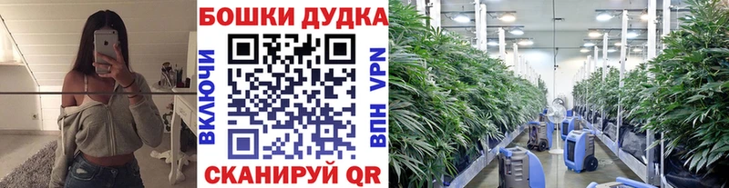 Купить где  Томари  Бошки Шишки AK-47 